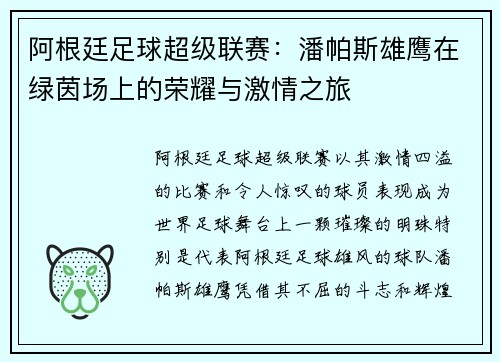 阿根廷足球超级联赛：潘帕斯雄鹰在绿茵场上的荣耀与激情之旅